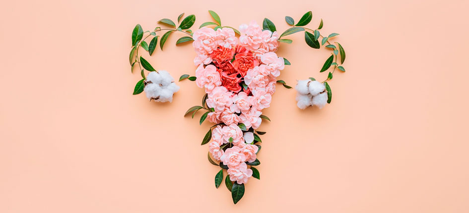 Header fisioterapia suelo pelvico fisioespai