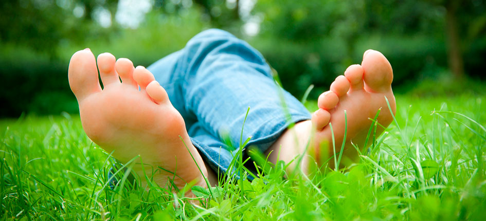 Header plantillas fisioespai