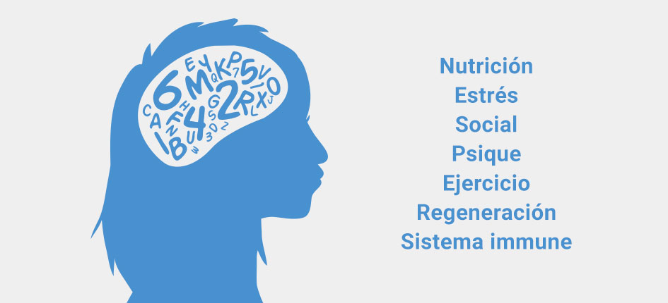 Header psiconeuroinmunologia fisioespai